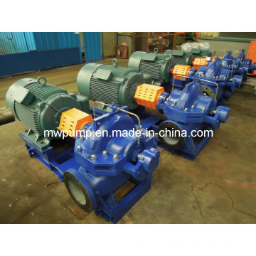 Split Case Pump with Electric Motor